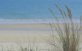 Royal Mer sur les ondes
