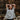 T-SHIRT EN COTON - FEMME
