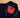 Alberic 2 zipped jacket