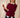 Pull marin uni Ellen boutons metal